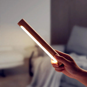 360° Rotating Wall Light