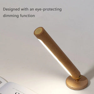 360° Rotating Wall Light