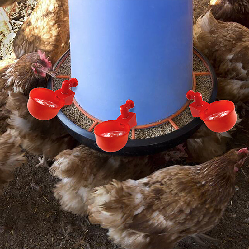 Automatic Poultry Drinker