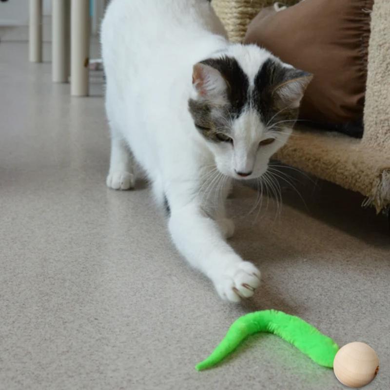 Wiggly Cat Toys With Bells